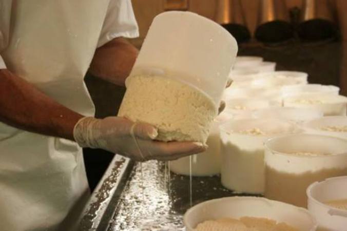 imagem mostra fabricação de queijo