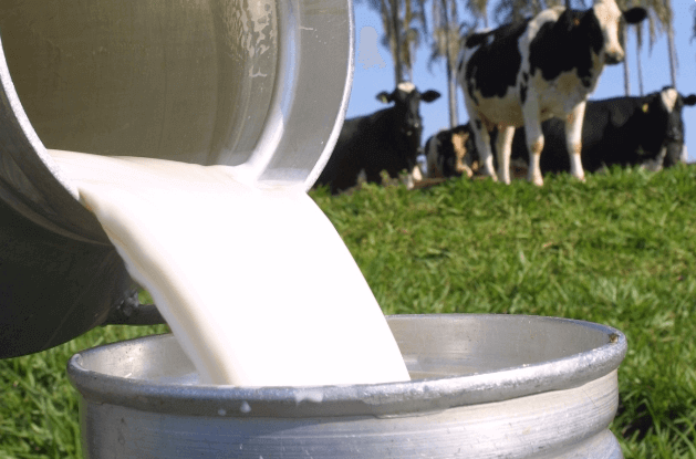 leite simbolizando ser recem tirado da vaca