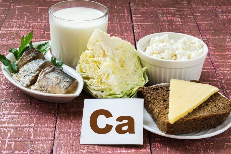 Imagem mostra queijos, leite, iogurte, peixes e verduras que são fonte de cálcio